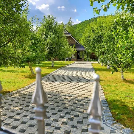 Sara Dom wakacyjny *