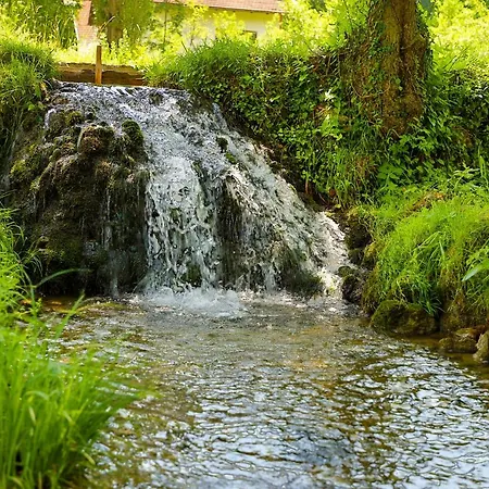 العطلات سارة *